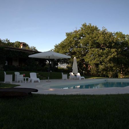 The Forest House อิแซร์เนีย ภายนอก รูปภาพ